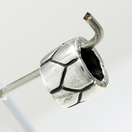 Silver Charm