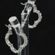 Fashionable Earring