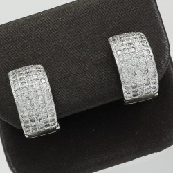 Fashionable Silver Curvy Pave Earring