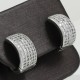Fashionable Silver Curvy Pave Earring
