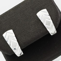 Fashionable Silver Earring