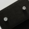 Small Stud Earring