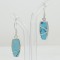 Turquoise Dangle Earring